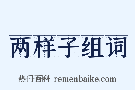 两样子组词是什么意思的图片